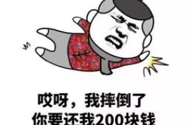 阳山如何避免债务纠纷？专业追讨公司教您应对之策